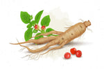 can ashwagandha boost libido